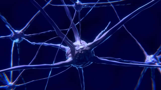 Neurones amb intel·ligència artificial